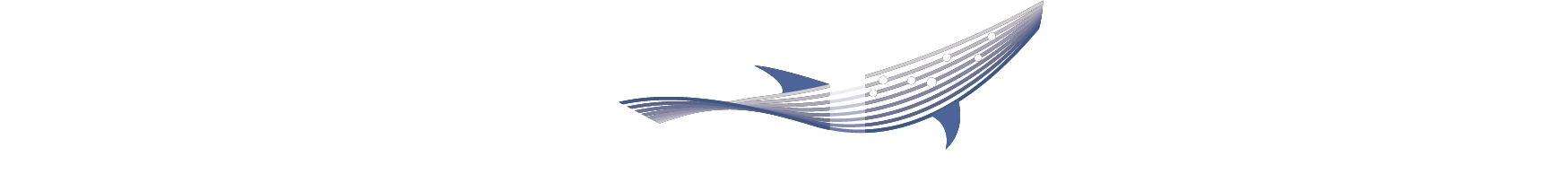 VICI Holdings